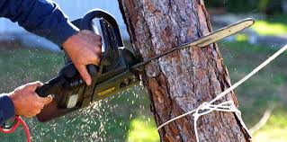 Best Lawn Irrigation Installation and Maintenance  in Easton, CA