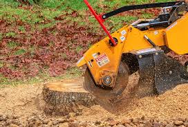 How Our Tree Care Process Works  in  Easton, CA